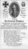Buchner Ferdinand